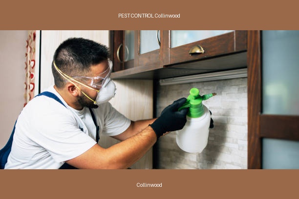 PEST CONTROL Collinwood